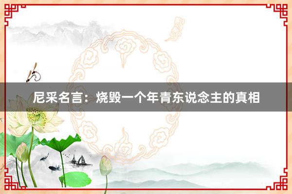 尼采名言：烧毁一个年青东说念主的真相
